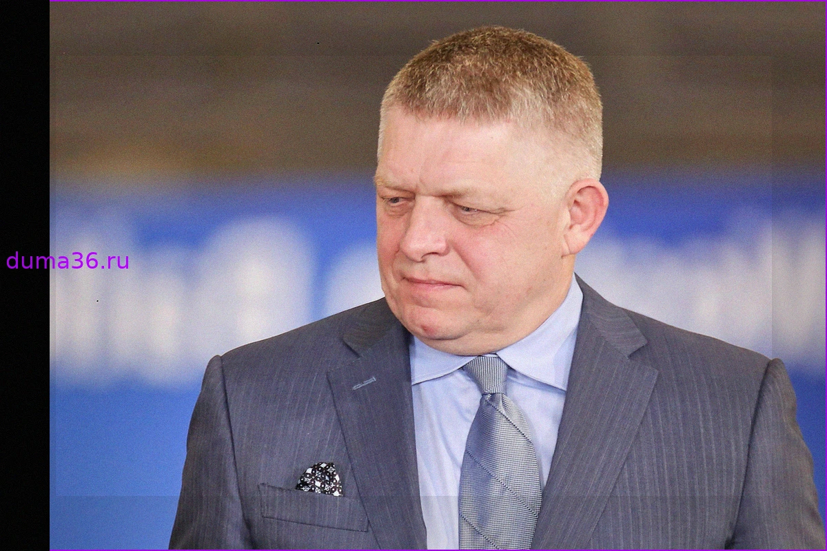 Фицо считает отказ ЕС от энергоресурсов РФ «вредным»