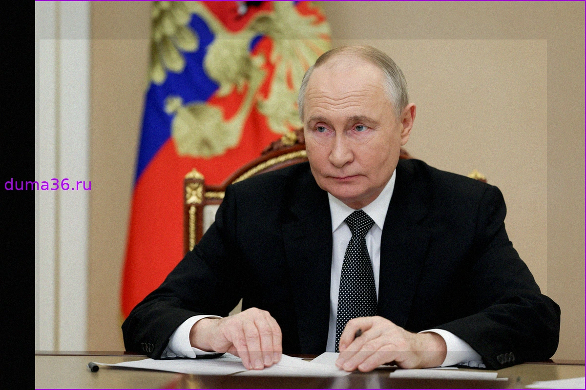 Путин получил от Фицо сигналы о готовности Зеленского к встрече