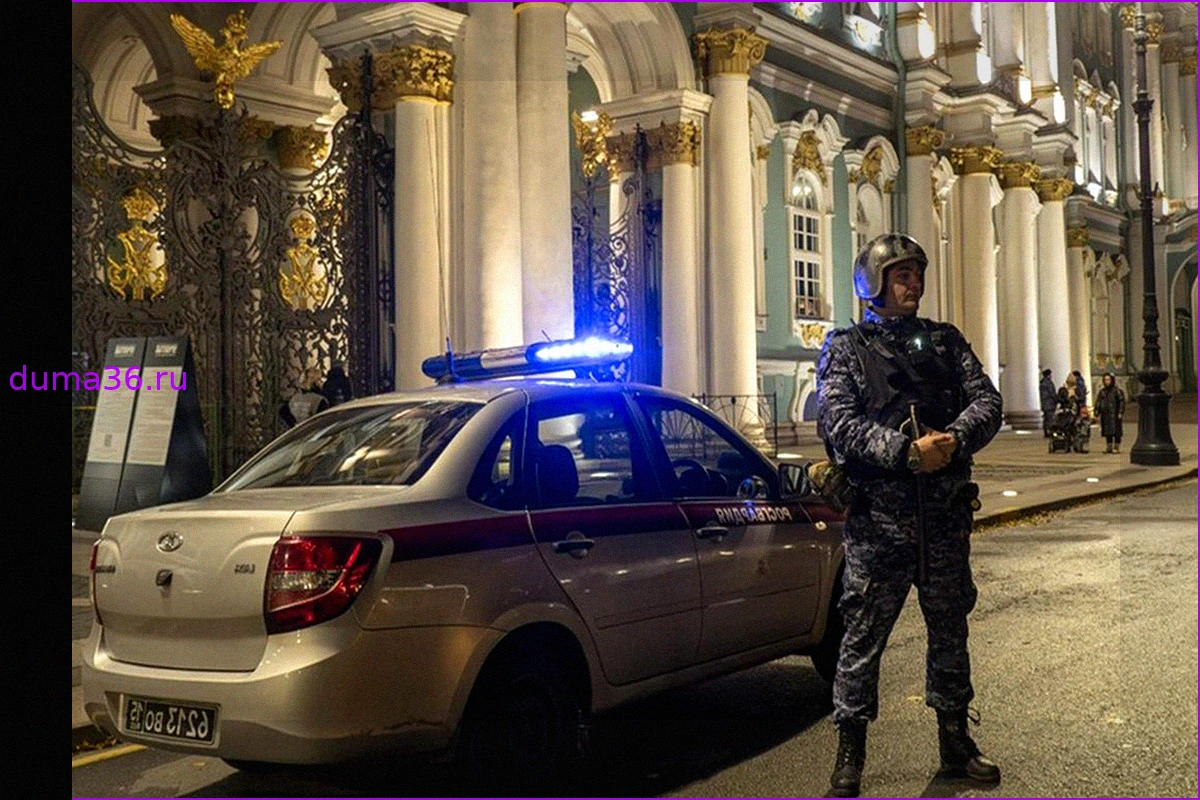 Задержание в Эрмитаже: посетитель занял Большой императорский трон
